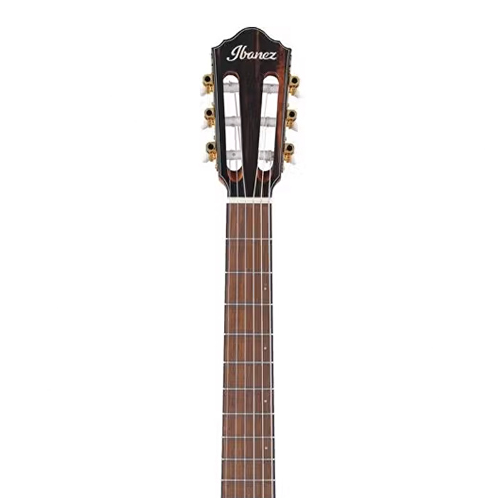 Ibanez FRH10NL-BSF Thinline Solak Elektro Klasik Gitar